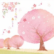 便箋 桜並木 PD-513