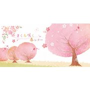 一筆箋 桜並木 MP-448