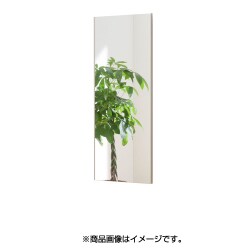 割れない軽量な鏡 45×120cm スタイリッシュフレーム シャンパン RM-2SG