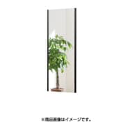 NRM-2B [割れない軽量な鏡 45×120cm ワイドフレーム ブラック]