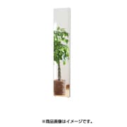 RM-3S [割れない軽量な鏡 30×150cm スタイリッシュフレーム シルバー]