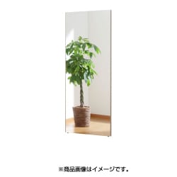 割れない軽量な鏡 60×150cm スタイリッシュフレーム シャンパン RM-5SG