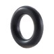 OR-GD-001 [G2 FLUORO RUBBER RING P5]