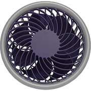 USBファン ブルーベリー iFan Fruit (BB)