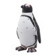 FM312 [ケープペンギン ビニールモデル]