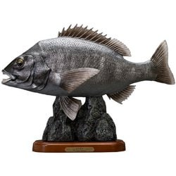 ヨドバシ.com - フェバリット Favorite GFA053 [クロダイ 50cm