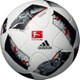 AF5510DFL [サッカーボール 5号球 国際公認球 ブンデスリーガ]
