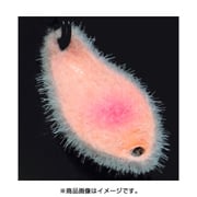激カビEXA 2.0g K1 ベージュグロー/イエローグロー [スプーン]