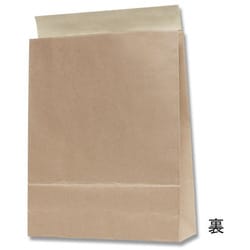 あい(箱+紙袋) ササガワ 手提げ紙袋 白無地 超特大横長 10枚 50-6700 1包（ご