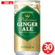 ジンジャーエール 200mL×30本