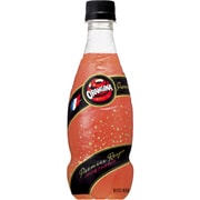 オランジーナ プルミエルージュ 420mL×24本