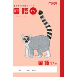学習帳 国語 17行 NP31