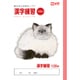 学習帳 漢字120字 NP55