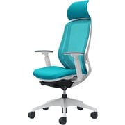 【完成品】 Sylphy（シルフィ） ブルーグリーン 【エクストラハイバック メッシュタイプ アジャストアーム付 ホワイトボディ 樹脂脚 ナイロンキャスター】 ※受注生産 C68AXW FMR6