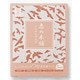 恵の本舗 フェイスクリアマスク 5回分 [25mL×5枚]
