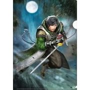 真・三國無双7 英傑クリアファイル 徐庶 [キャラクターグッズ]