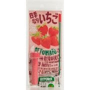 ペットマト・ステッチ 四季なりいちご [野菜栽培キット]