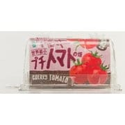 世界最小のやさい畑 プチトマト [野菜栽培キット]