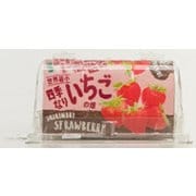 世界最小のやさい畑 四季なりいちご [野菜栽培キット]