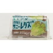 世界最小のやさい畑 サニーレタス [野菜栽培キット]