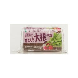 ヨドバシ Com はせがわさとう商店 世界最小のやさい畑 ひとくち大根 野菜栽培キット 通販 全品無料配達