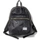 BDW-9123 BK [メタルファスナーデイパック 20L ブラック]