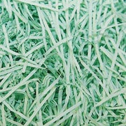 緩衝材 紙パッキン 40g J・アサギ #3800804