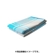 スナテックス レジャーシート スカッシュブルー 2人用（100cm×200cm）