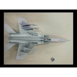 1/72 MiG-25P フォックスバット “ヴィクトル・ベレンコ防空軍