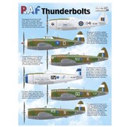 ILD48025 [1/48 デカールシリーズ RAF サンダーボルト]