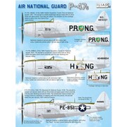 ILD48029 [1/48 デカールシリーズ P-47D サンダーボルト アメリカ空軍州兵]