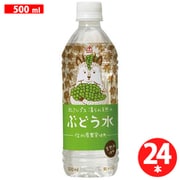 北アルプスの清らか天然水 ぶどう水 500ml×24本