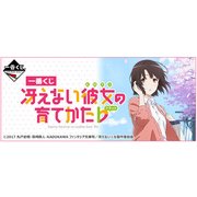 一番くじ 冴えない彼女の育てかたフラット