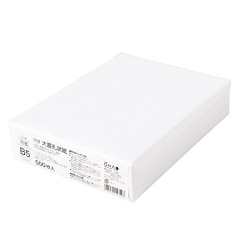 大直礼状紙 B5 500枚入 プリンター用 和紙 206000005