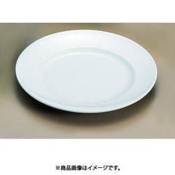 メラミン「青磁」 平皿(リム型) CS-22 (8インチ) RHL16022
