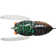 トリックトラウト タイニーシケイダー TTTC-061 チュウゼンジコ