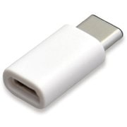 TH25CSW [USB2.0準拠 Type-C変換アダプタ ホワイト]