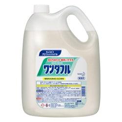 花王プロフェッショナルシリーズ ワンダフル [4.5L]