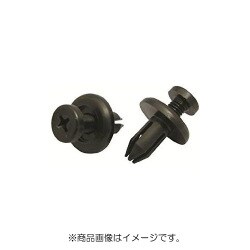 PTF1W34 [スクリベット 10個入]