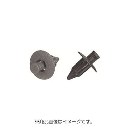 PTF20R5G [プッシュリベット 10個入]