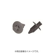 PTF20R5G [プッシュリベット 10個入]