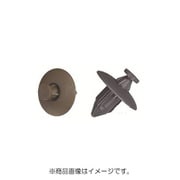 PTF2N10B [プッシュリベット ブラック 10個入]