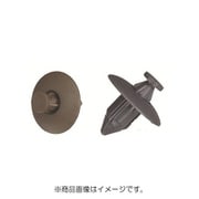 PTF2N10G [プッシュリベット 10個入]
