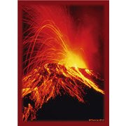 ハイブリッドスリーブ 「大地の憤怒」 リバイバル [トレーディングカード用品]