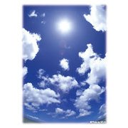 ハイブリッドスリーブ 「あの夏の青空」 リバイバル [トレーディングカード用品]