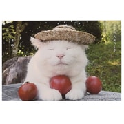 かご猫 ポストカード トマト AE15883