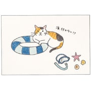ねこイラスト ポストカード うきわ AE15896