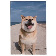 柴犬まる ポストカード 空 AE15886