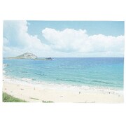 フォト ポストカード 海辺 AE15898
