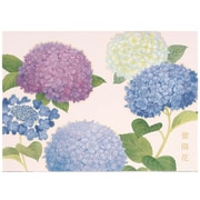 夏柄 UV レターパッド 紫陽花 SD06807